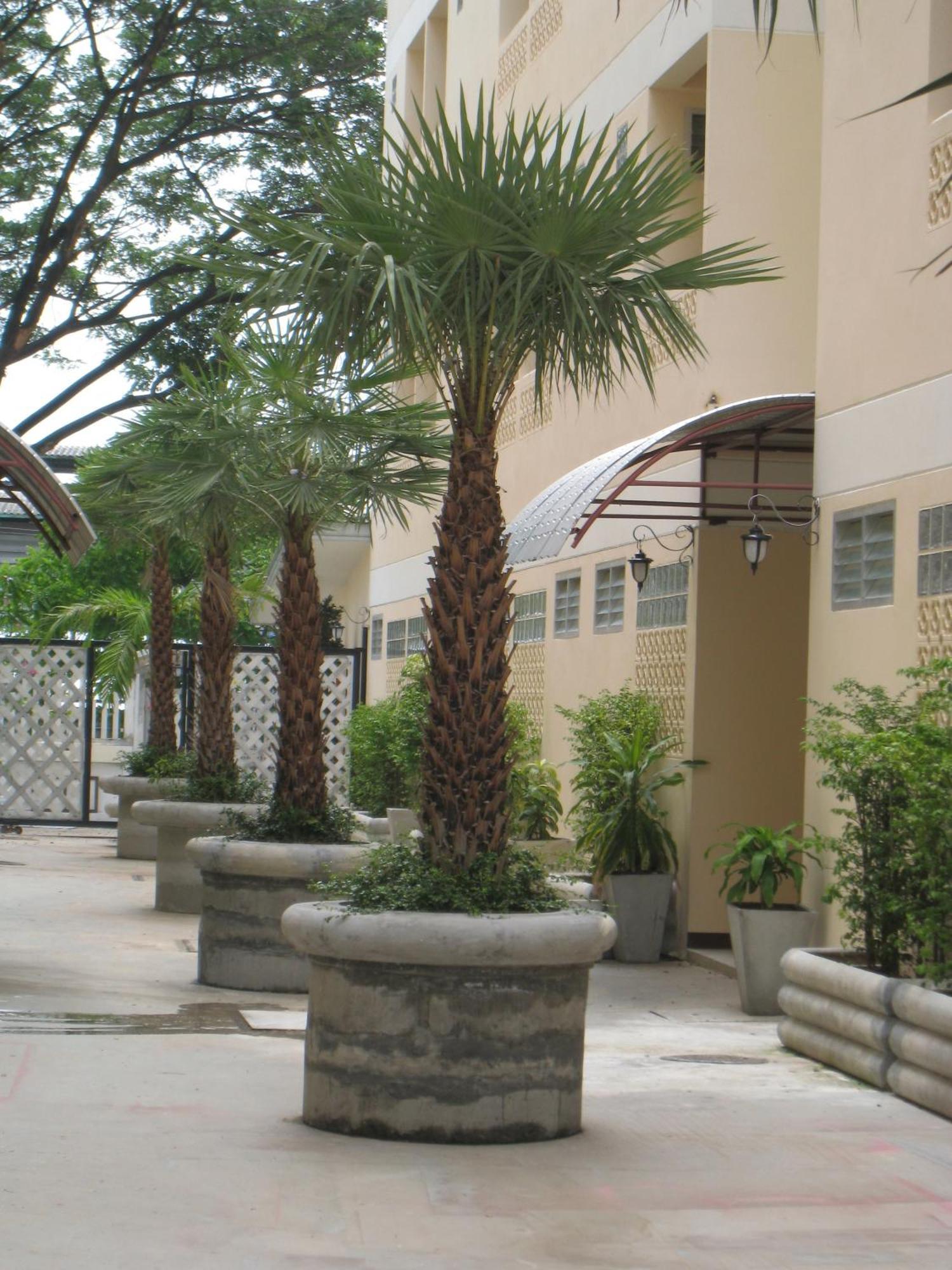 Rafael Hotel And Mansion Bangkok - Sha Extra Plus Certified Exteriör bild